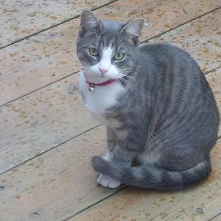 Prairie Pansiyon La Roche-sur-Yon