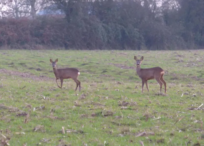 Quarto em Acomodações Particulares Prairie *